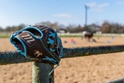 Marucci NightShift "Stallion" 44A2 11.5" Infield Baseball Glove: MFGNTSHFT-0302 25 Marucci NightShift "Stallion" 44A2 11.5" Infield Baseball Glove: MFGNTSHFT-0302 -Marucci Store 2025 Nightshift Stallion 1