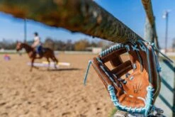 Marucci NightShift "Stallion" 44A2 11.5" Infield Baseball Glove: MFGNTSHFT-0302 32 Marucci NightShift "Stallion" 44A2 11.5" Infield Baseball Glove: MFGNTSHFT-0302 -Marucci Store 2025 Nightshift Stallion 8