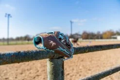 Marucci NightShift "Stallion" 44A2 11.5" Infield Baseball Glove: MFGNTSHFT-0302 33 Marucci NightShift "Stallion" 44A2 11.5" Infield Baseball Glove: MFGNTSHFT-0302 -Marucci Store 2025 Nightshift Stallion 9